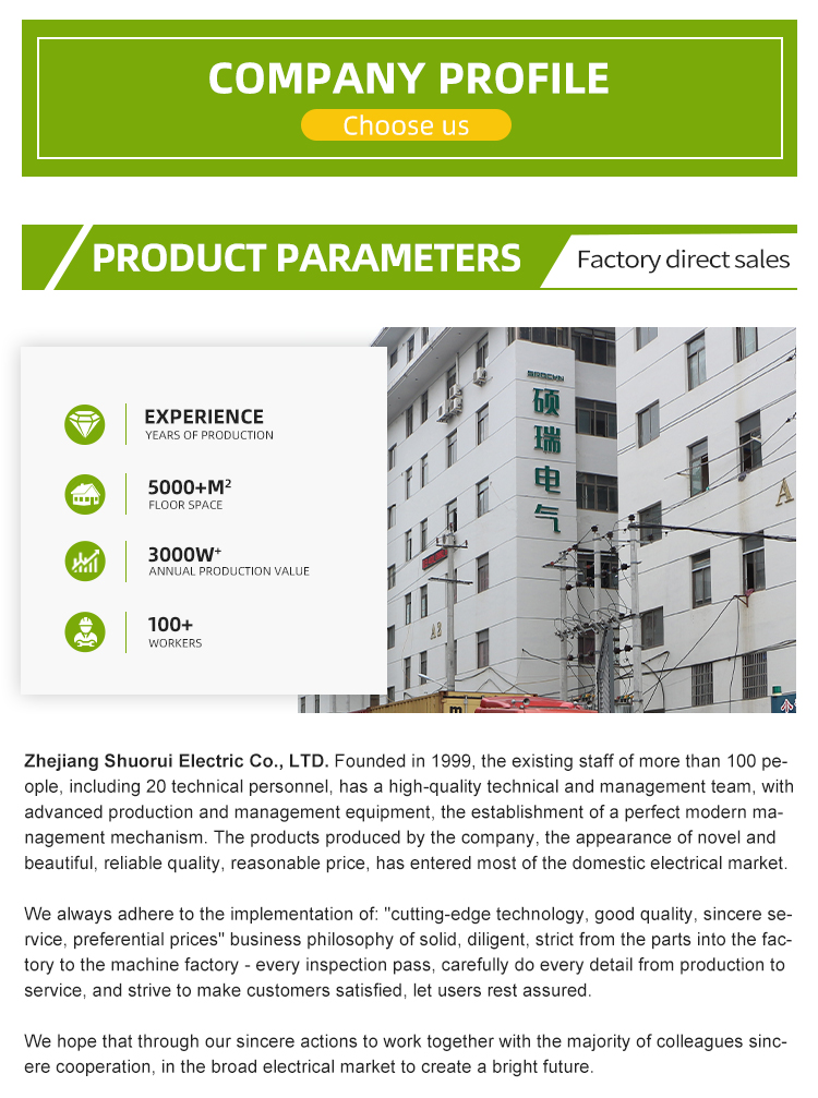 Lightning Surge Protector AC275V 20-40KA Lightning Arrester (12)