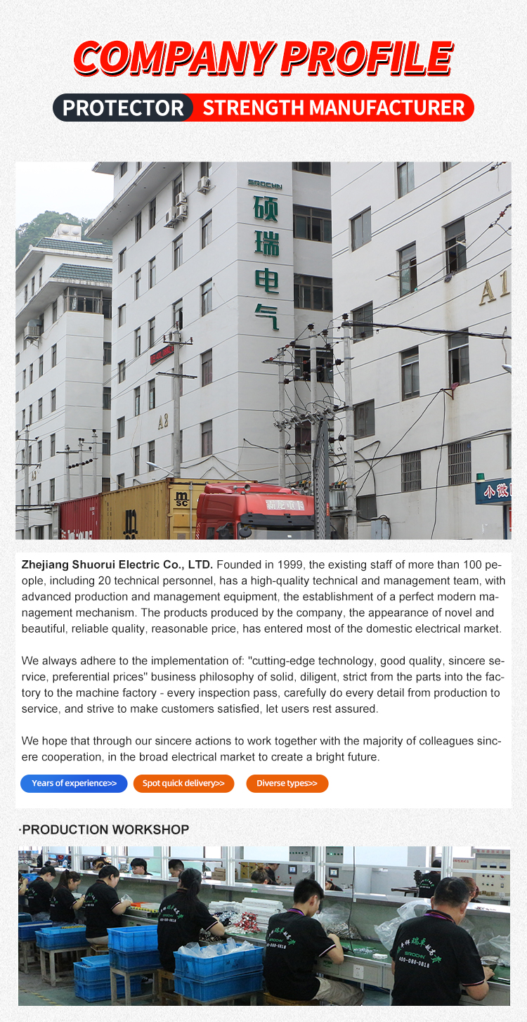 2P 24VDC T2 Surge Protective Device (12)